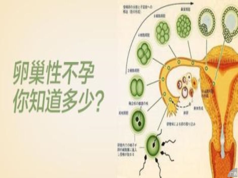 女性卵巢性不孕症状主要表现有什么