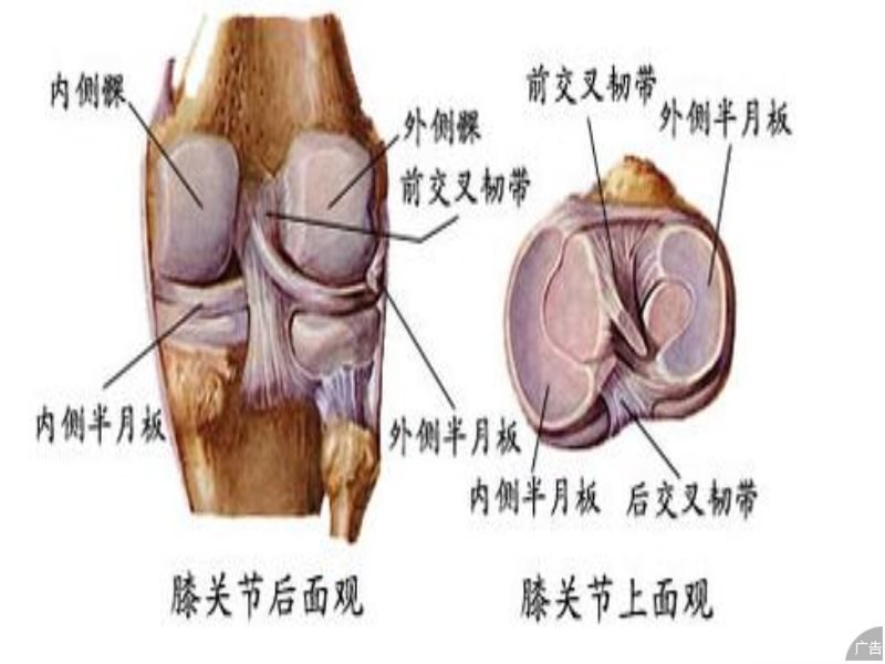 膝关节半月板损伤应该怎样治疗?