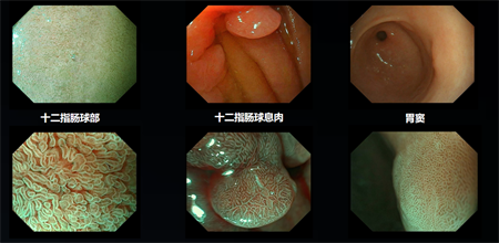 微信图片_20250408092133.png